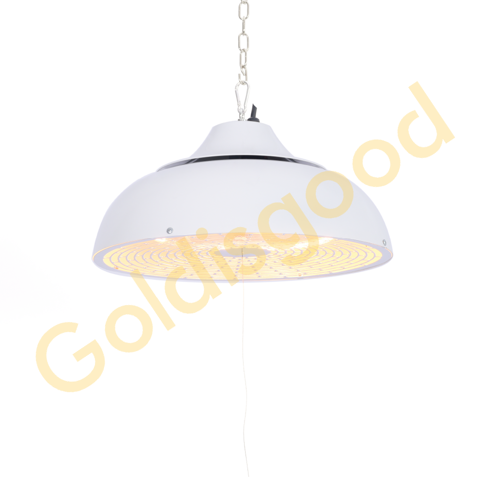 IPX5 waterproof rating heater